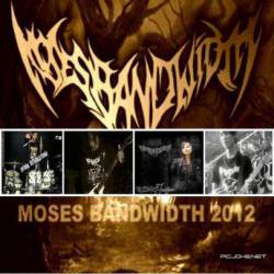 Moses Bandwidth : Demo for 2012